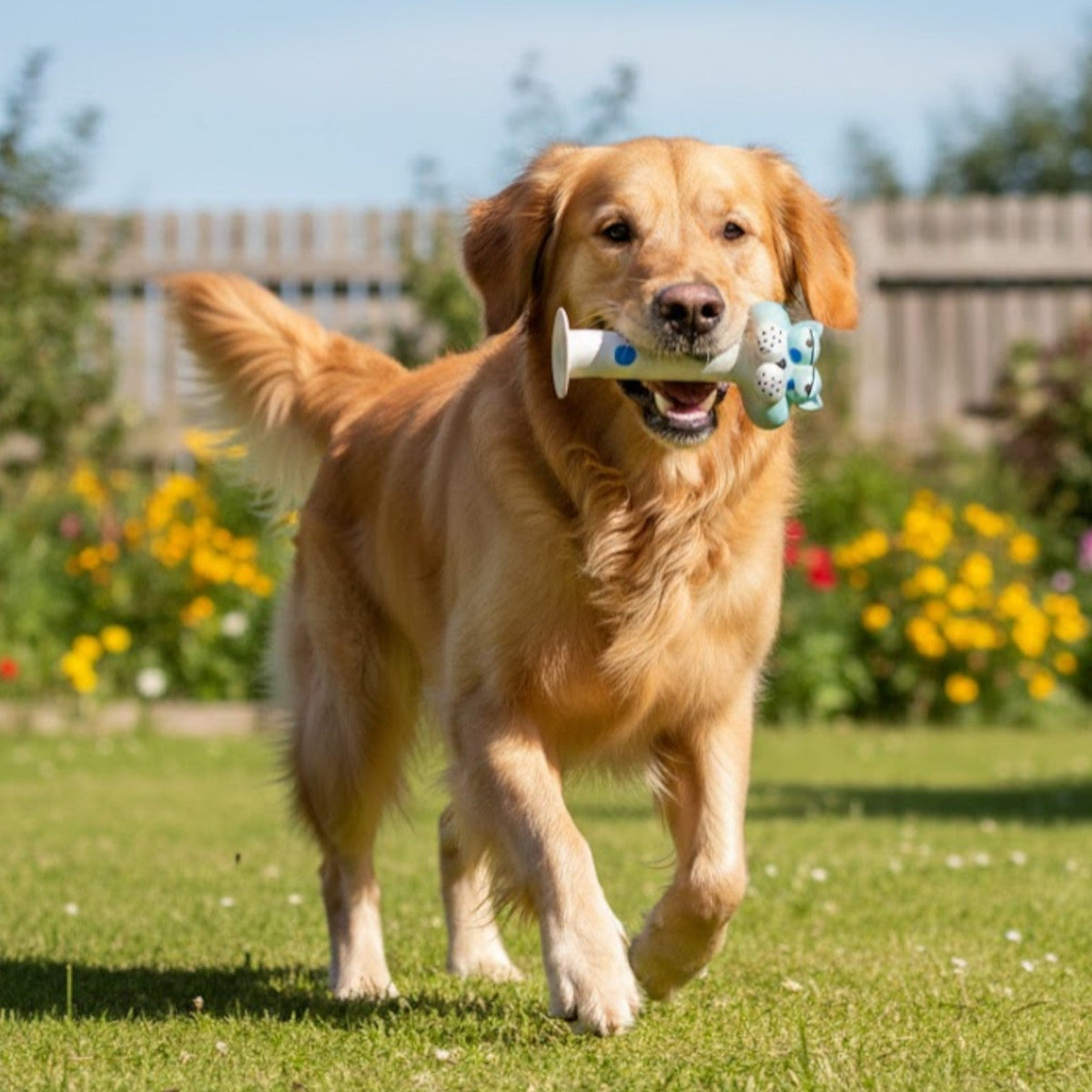 Funny-Latex-Squeaky-Dog-Toy.jpg
