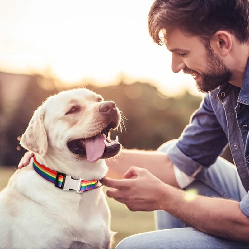 Galaxy-Print-Dog-Collar.jpg