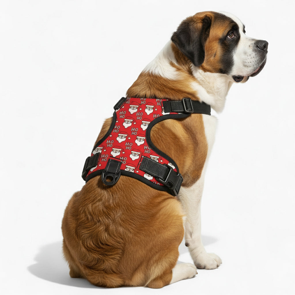 Buddy - NO-PULL Iggy Harness & Leash Set | for small and large Dogs