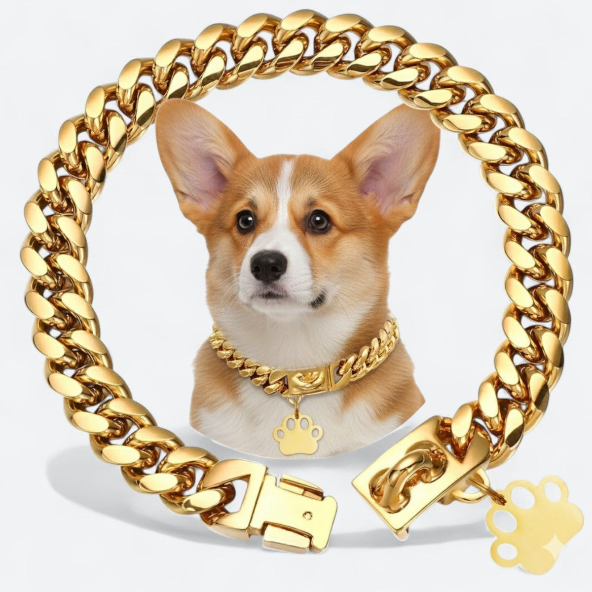 Gold-Plated-Stainless-Steel-Dog-Collar.jpg