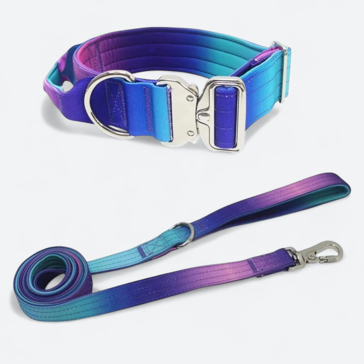 Gradient dog collar and leash set