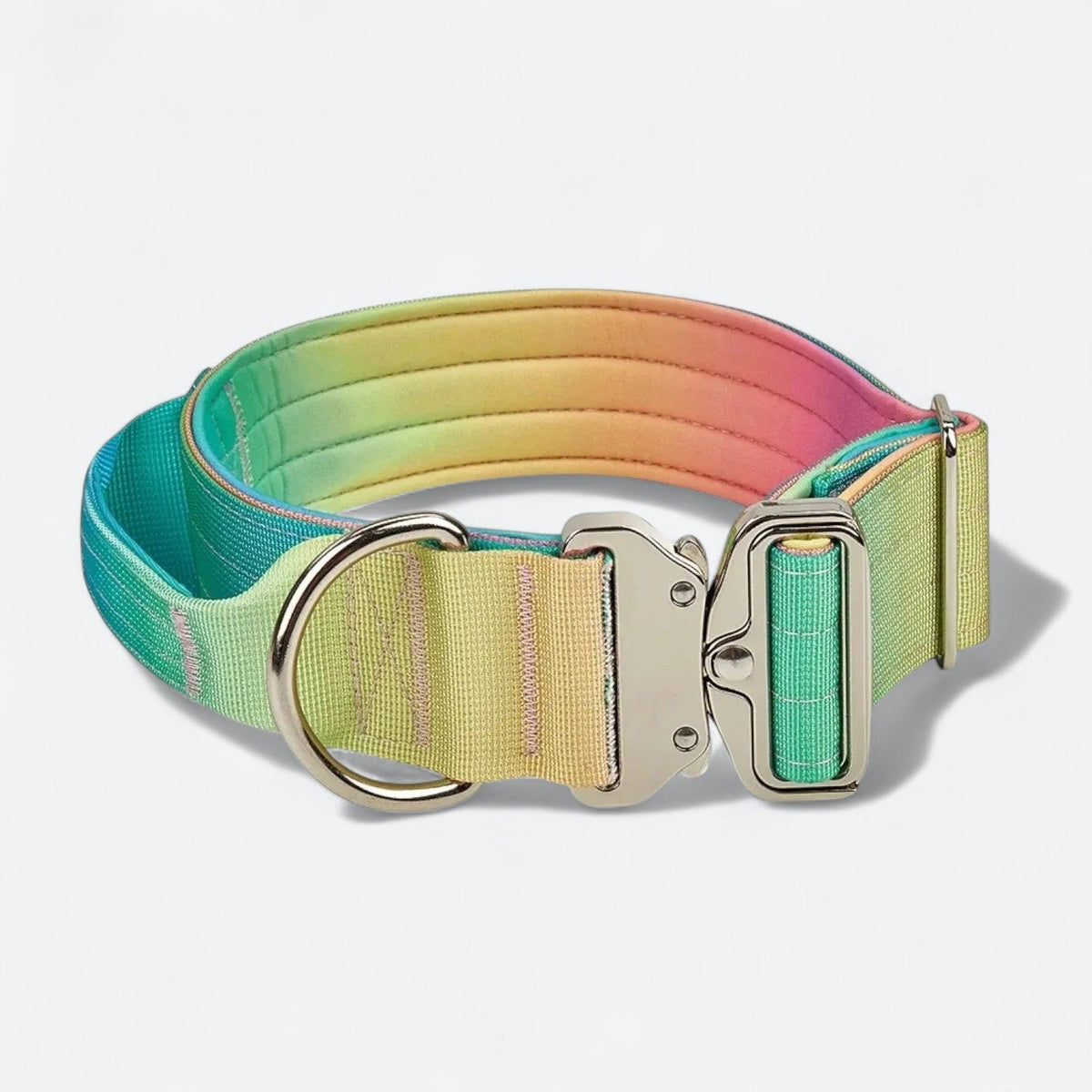 Gradient-Dog-Collar-Leash-Set.jpg