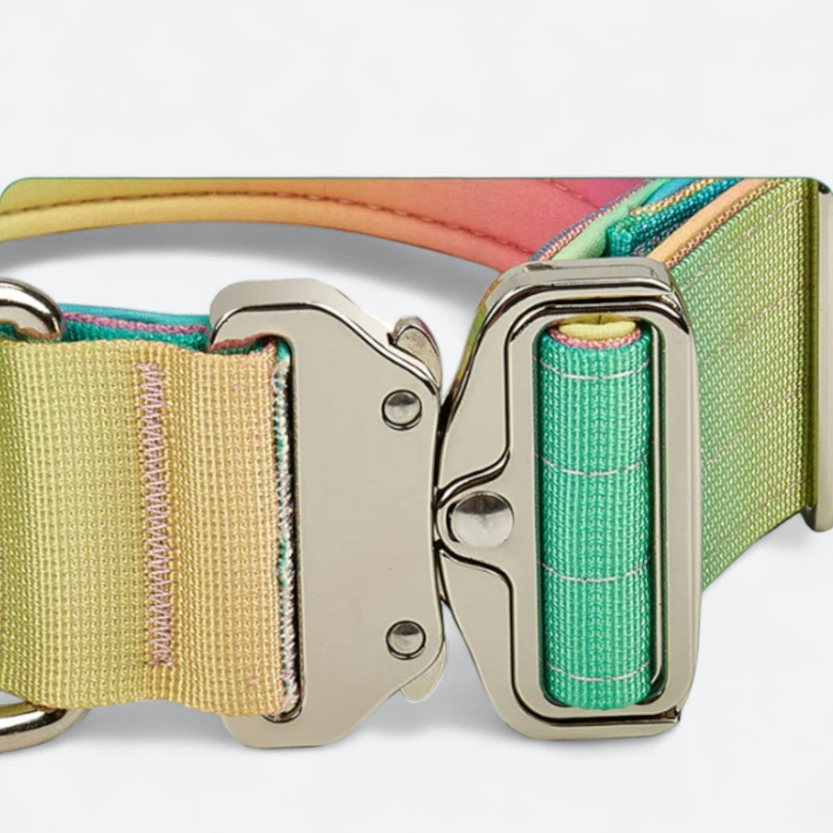 Gradient-Dog-Collar-Leash-Set.jpg