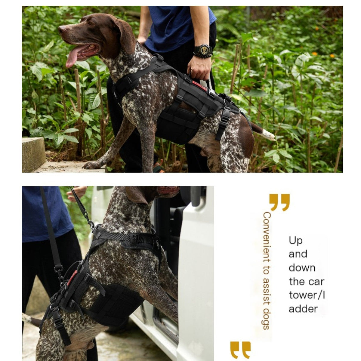 Guard-Dog-Walking-Aid-Harness.jpg