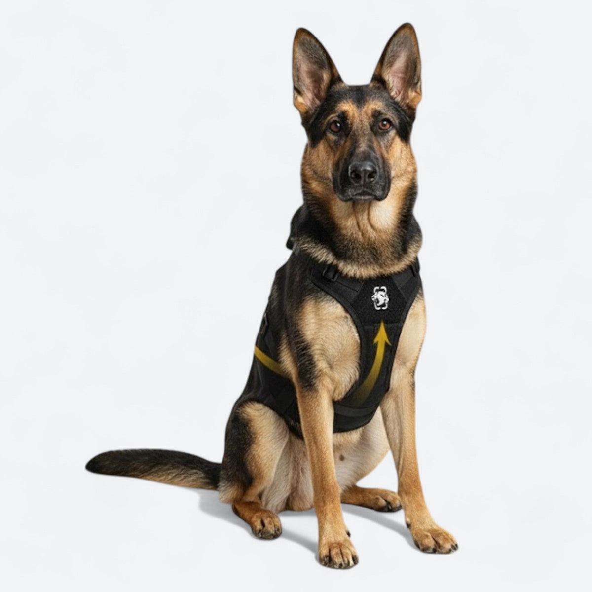 Guard-Dog-Walking-Aid-Harness.jpg