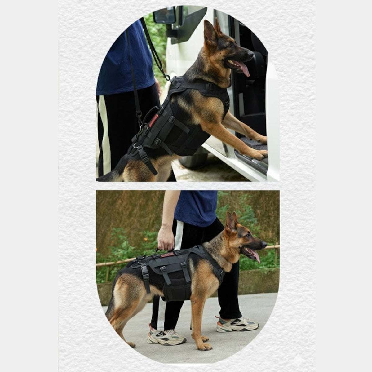 Guard-Dog-Walking-Aid-Harness.jpg
