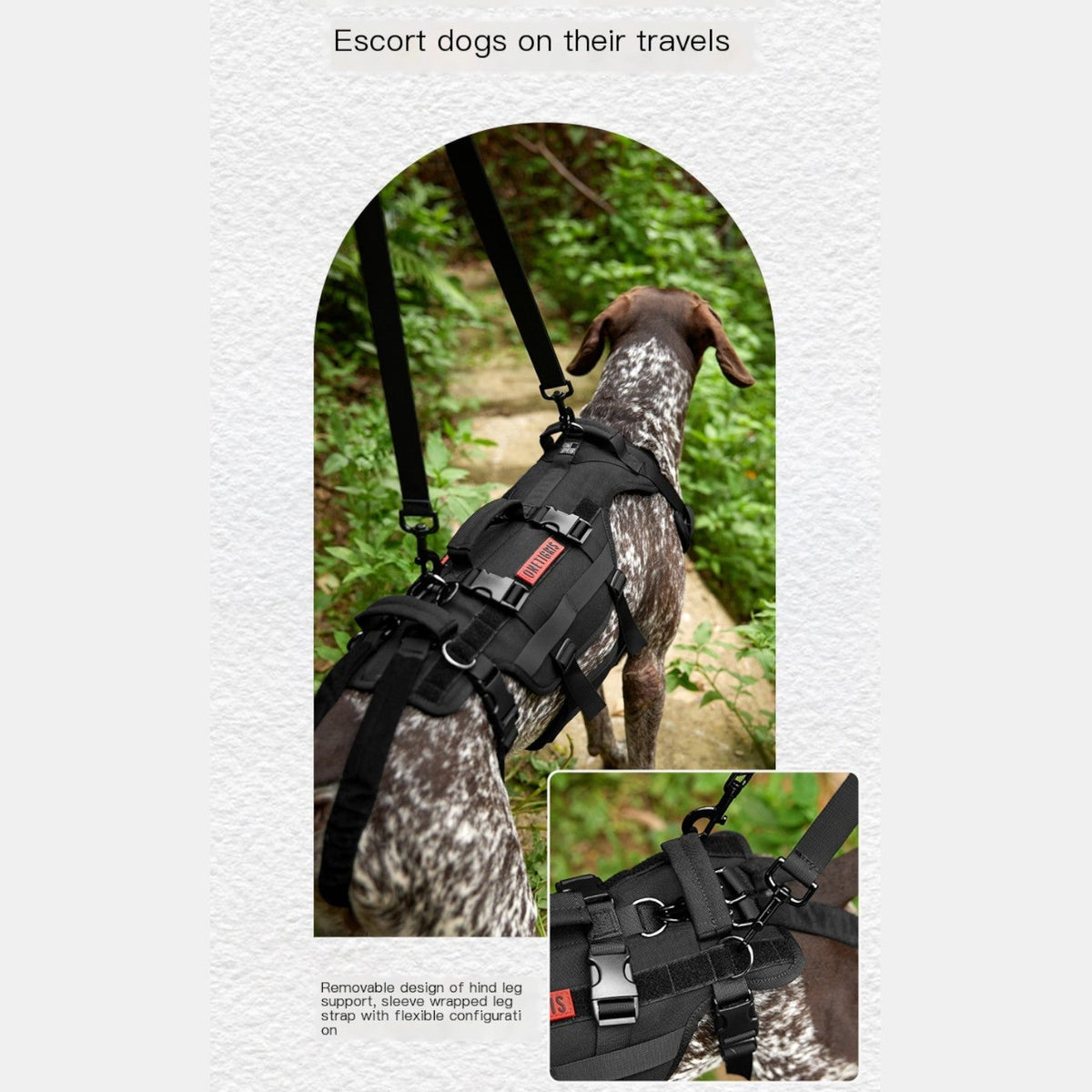 Guard-Dog-Walking-Aid-Harness.jpg