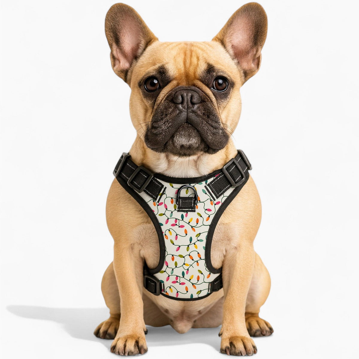 Sam - NO-PULL Iggy Harness & Leash Set | for small and large Dogs