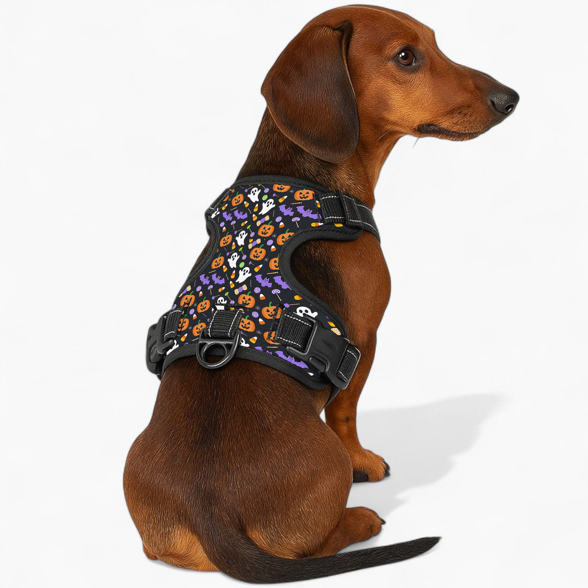 Duke - NO-PULL Iggy Harness & Leash Set | for small and large Dogs