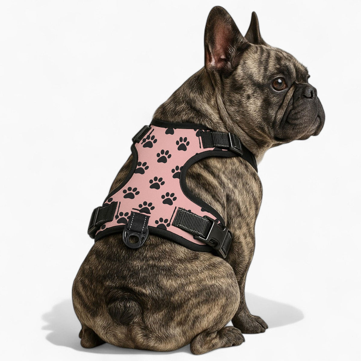 Charlie - NO-PULL Iggy Harness & Leash Set | for small and large Dogs
