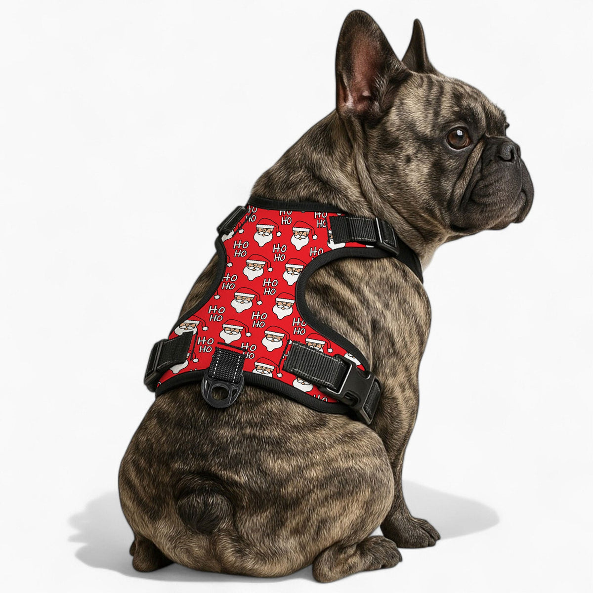 Buddy - NO-PULL Iggy Harness & Leash Set | for small and large Dogs