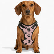 Charlie - NO-PULL Iggy Harness & Leash Set | for small and large Dogs