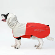 Dog wearing a hard-shell split raincoat