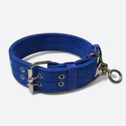 Heavy-duty adjustable dog collar