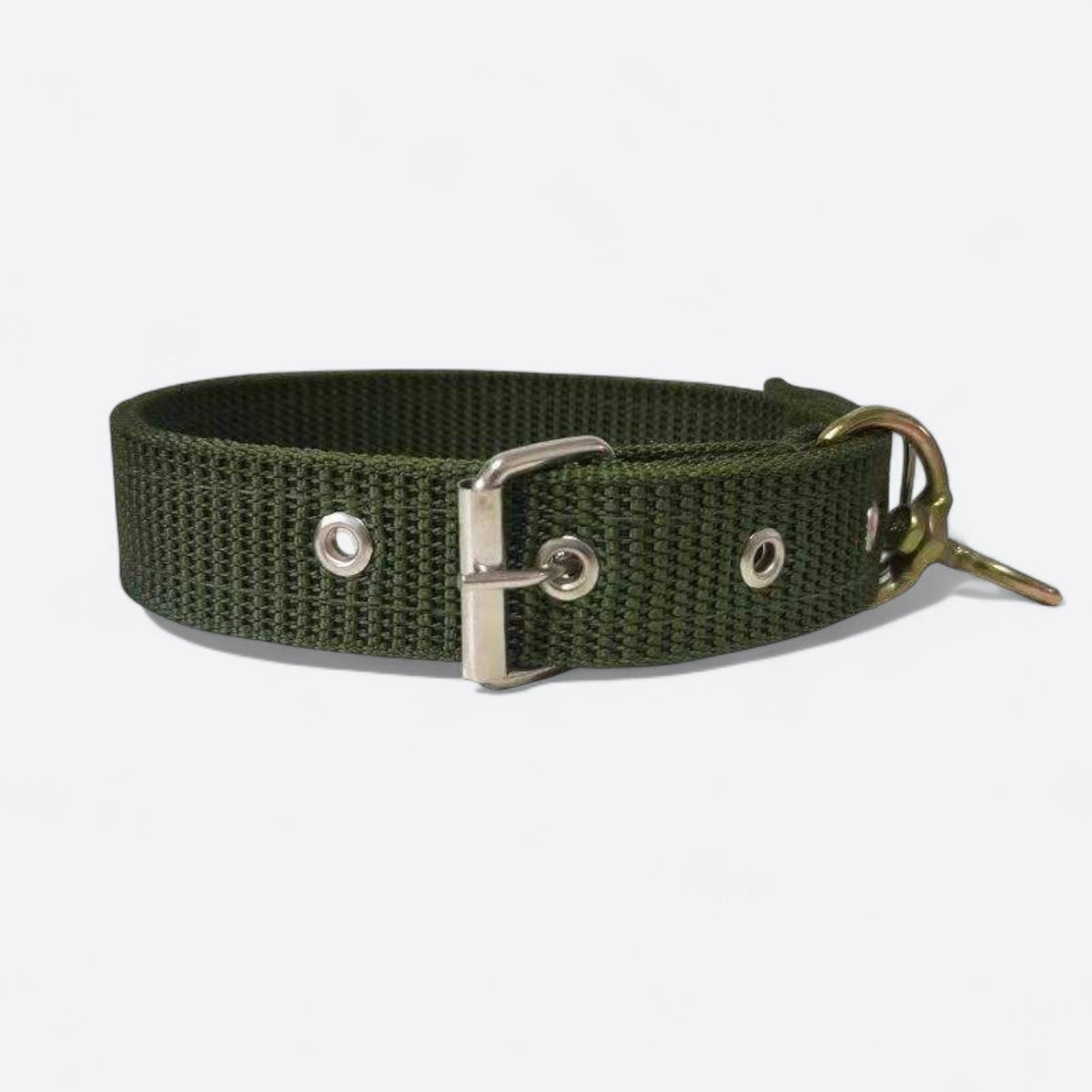Heavy-Duty-Adjustable-Dog-Collar.jpg
