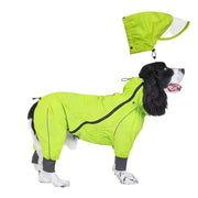 Dog wearing a hi-vis full-body raincoat
