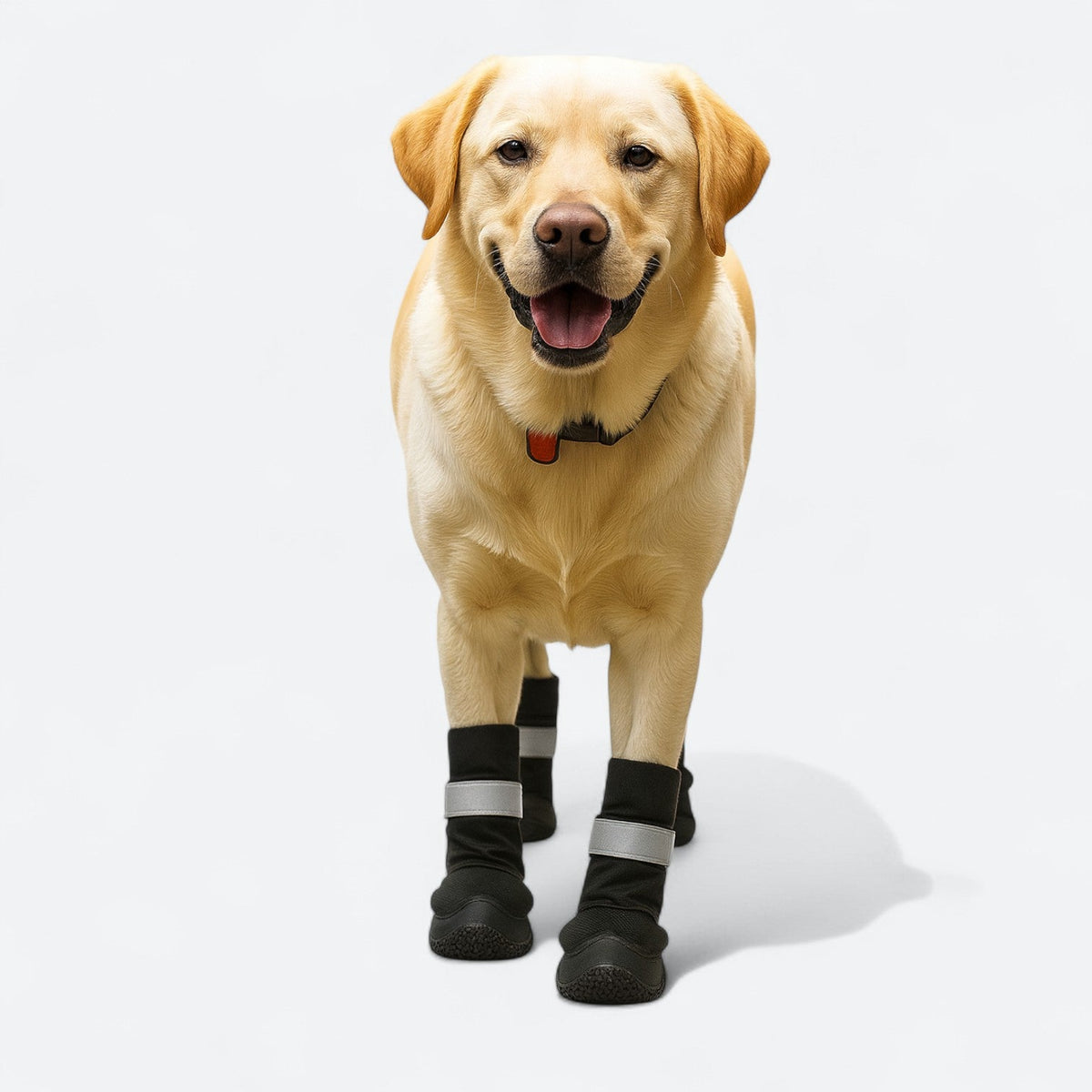 High-Top-Reflective-Waterproof-Dog-Boots.jpg