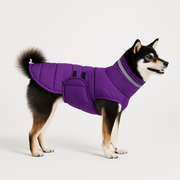 High Collar Cotton Dog Coat