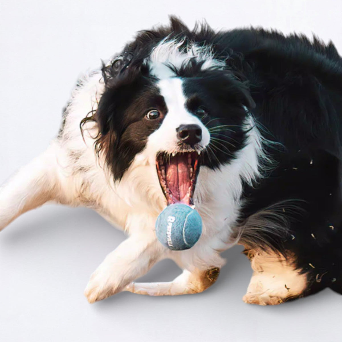 Ice-Cream-Tennis-Ball-Dog-Toy.jpg