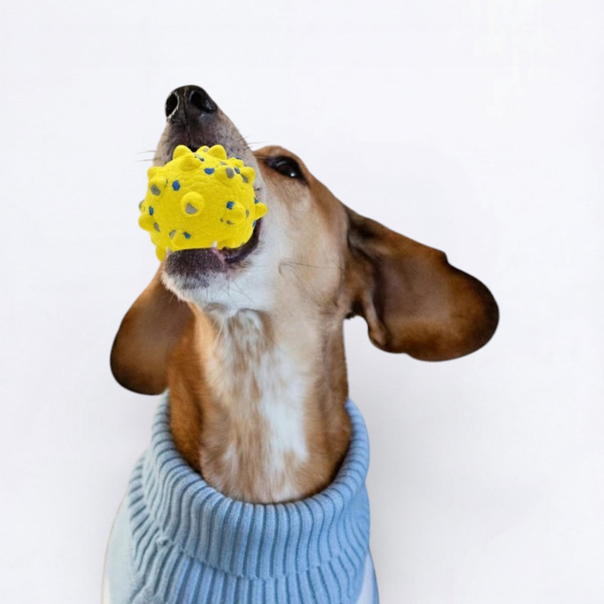 Indestructible-Dog-Chew-Ball-Toy.jpg