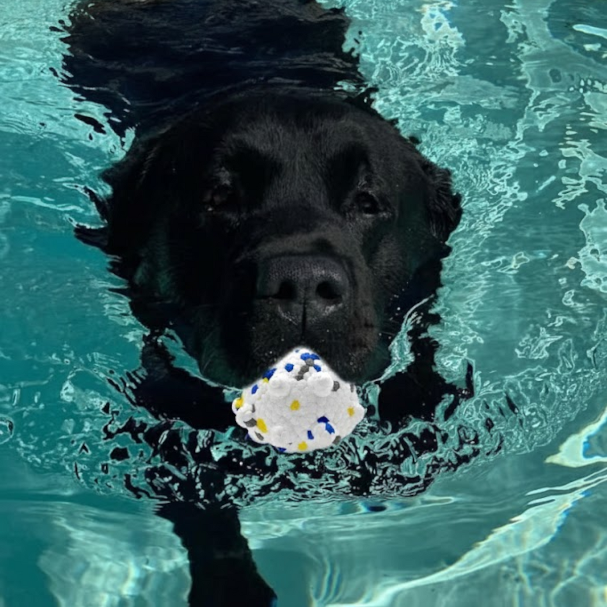 Indestructible-Dog-Chew-Ball-Toy.jpg
