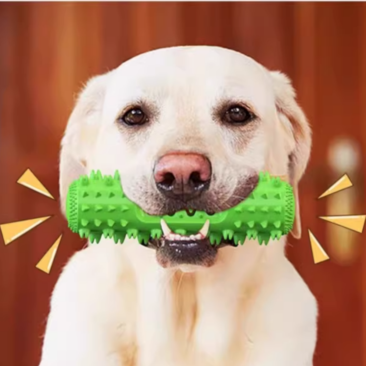 Indestructible-Dog-Dental-Chew-Stick-Toy.jpg