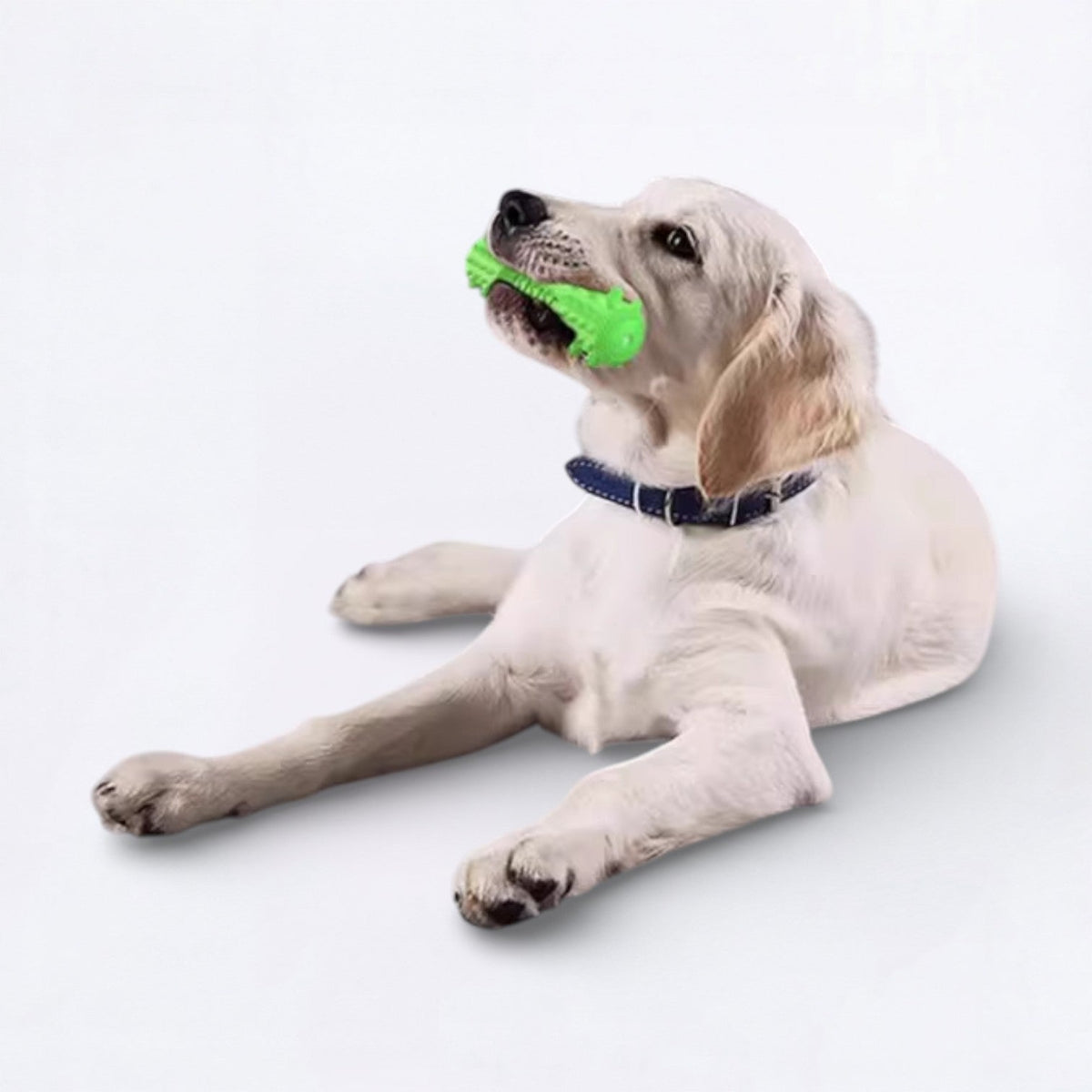 Indestructible-Dog-Dental-Chew-Stick-Toy.jpg