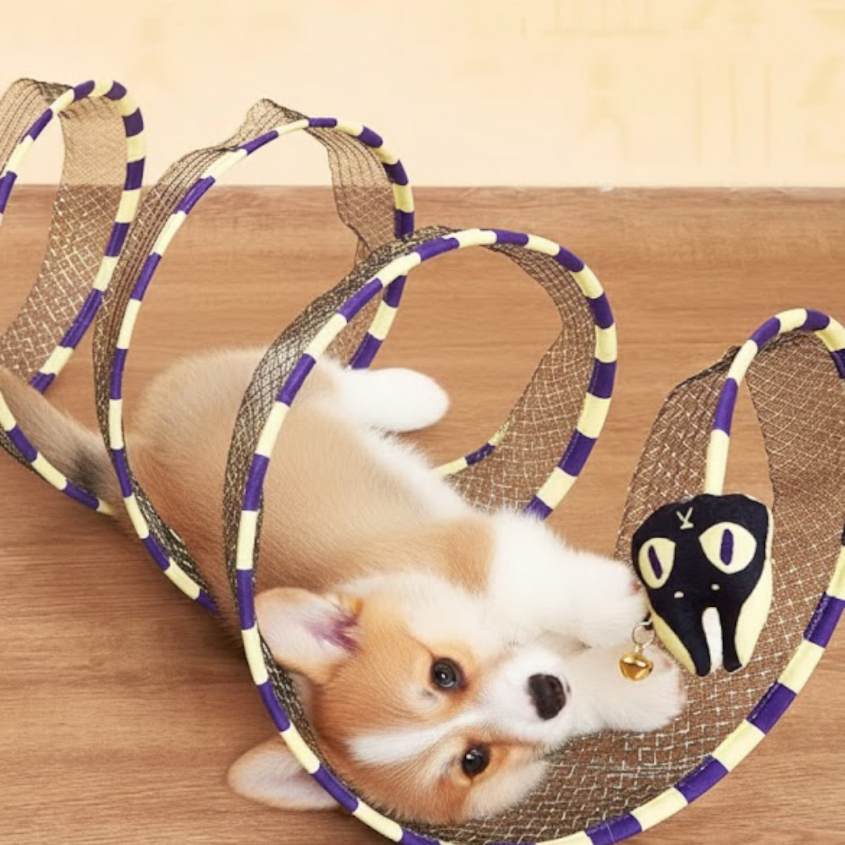 Interactive-Dog-Mesh-Tunnel-Toy.jpg