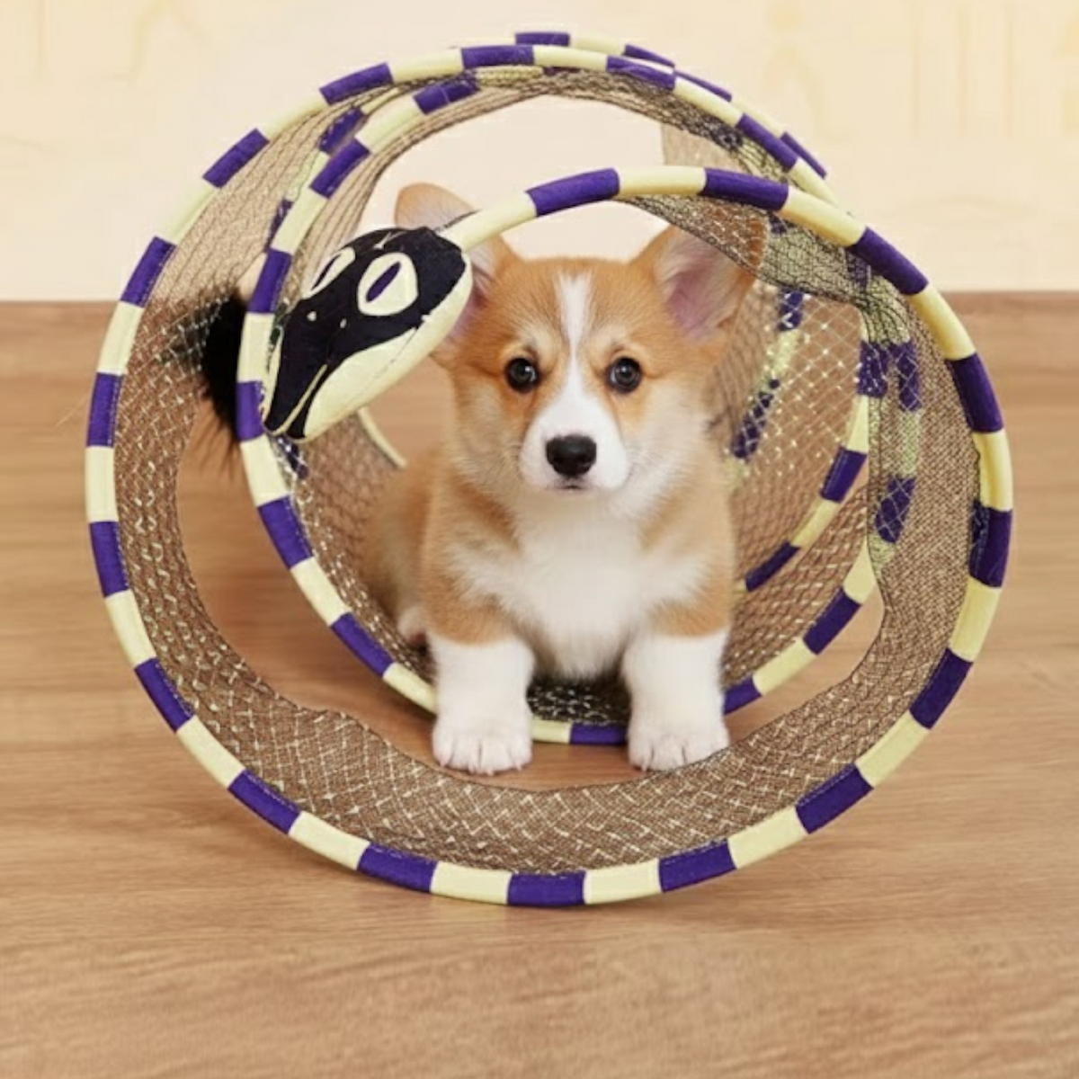 Interactive-Dog-Mesh-Tunnel-Toy.jpg