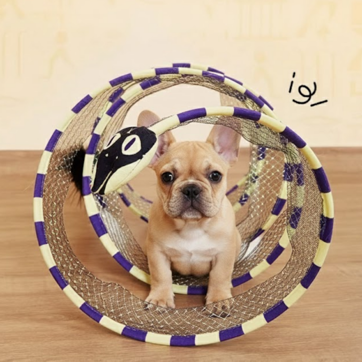 Interactive-Dog-Mesh-Tunnel-Toy.jpg