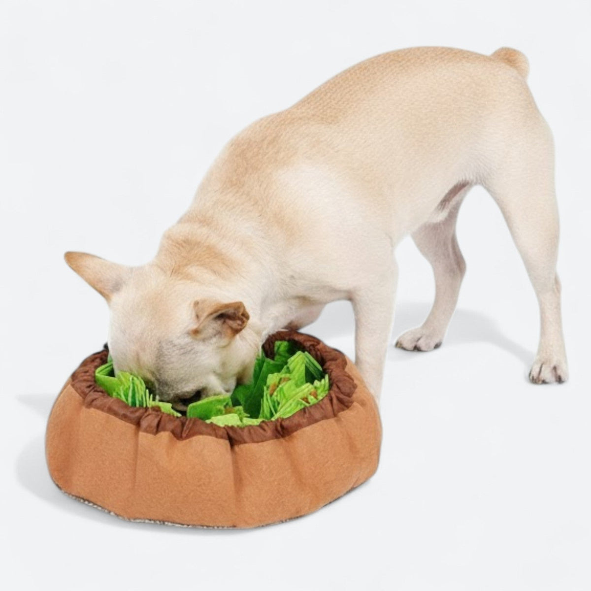 Interactive-Dog-Snuffle-Mat.jpg