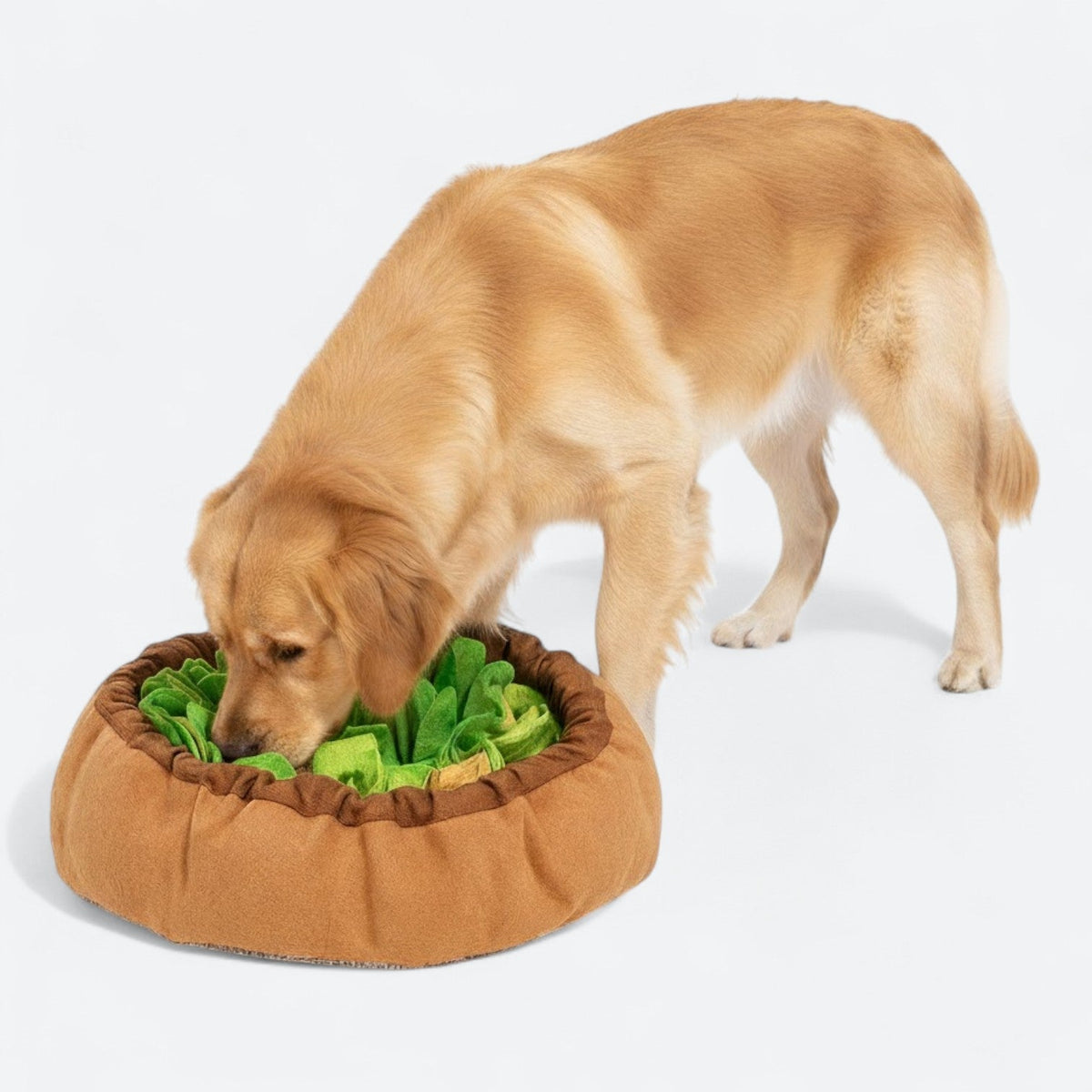 Interactive-Dog-Snuffle-Mat.jpg