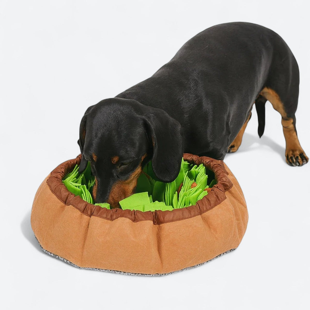 Interactive-Dog-Snuffle-Mat.jpg
