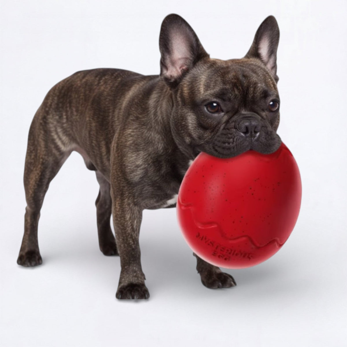 Leaky-Egg-Dog-Treat-Toy.jpg