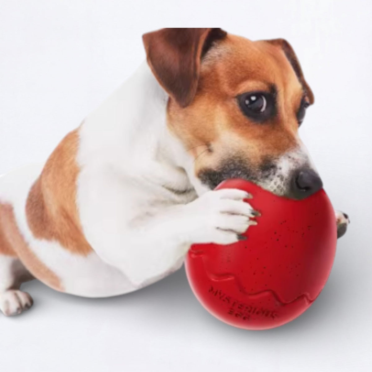 Leaky-Egg-Dog-Treat-Toy.jpg