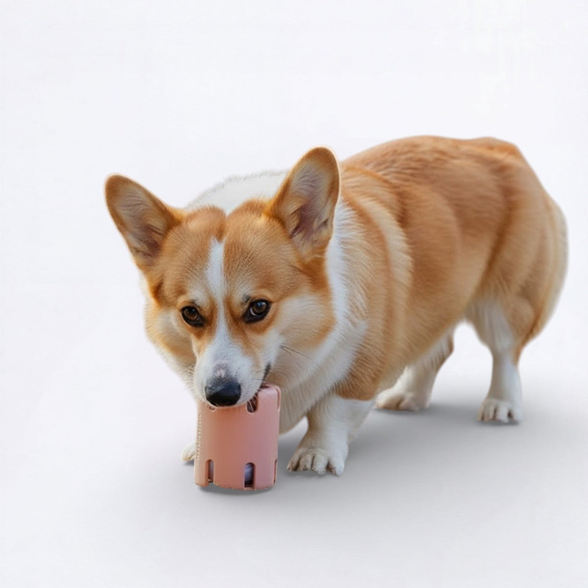Leaky-Treat-Dispenser-Dog-Toy.jpg