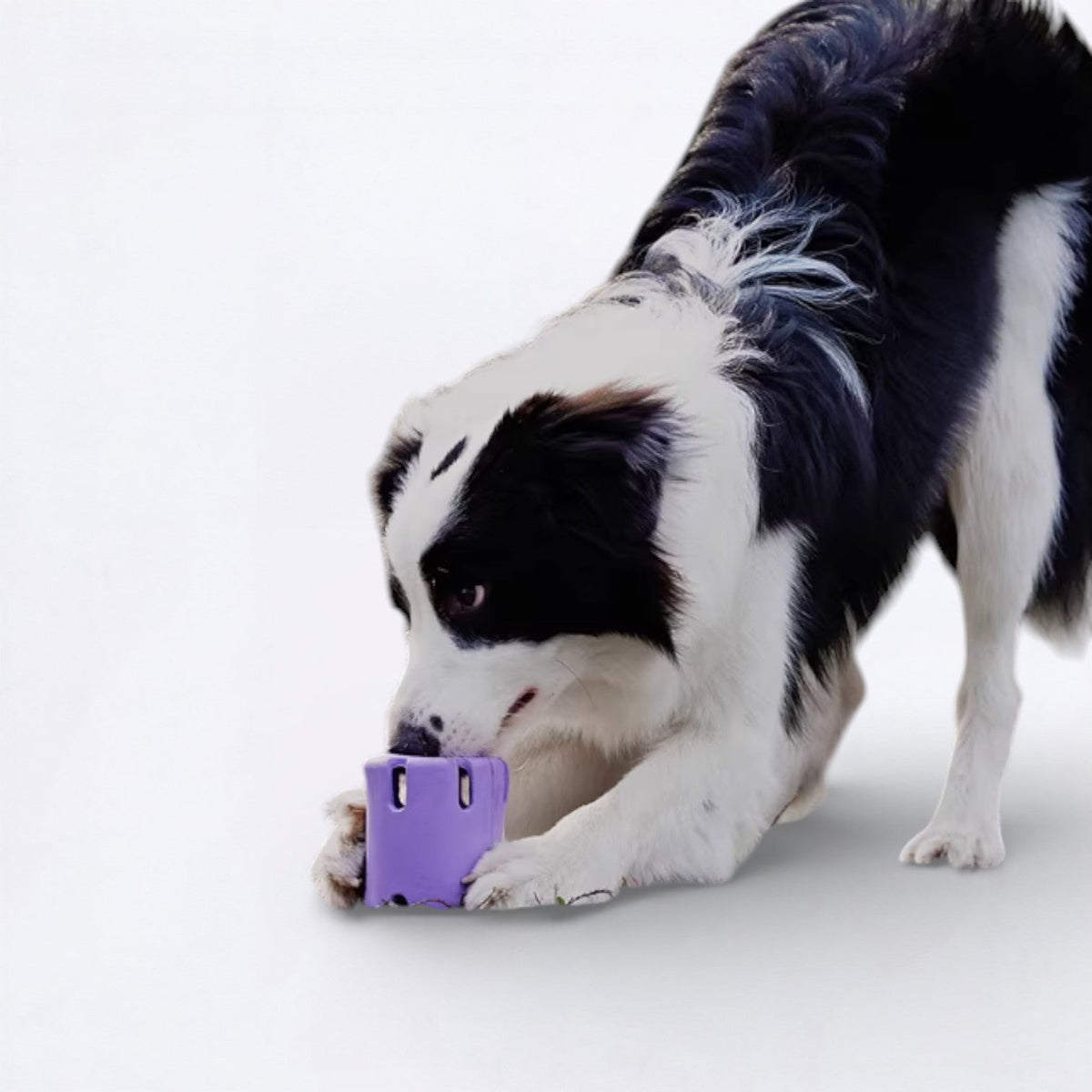 Leaky-Treat-Dispenser-Dog-Toy.jpg