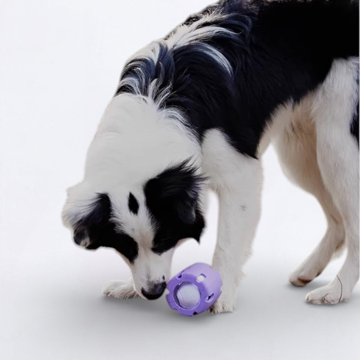 Leaky-Treat-Dispenser-Dog-Toy.jpg