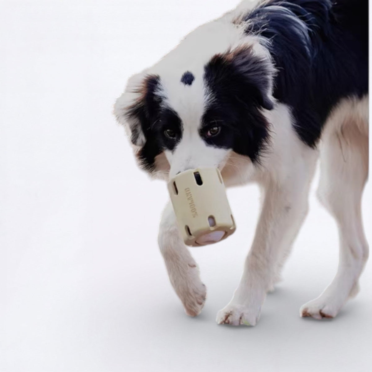 Leaky-Treat-Dispenser-Dog-Toy.jpg