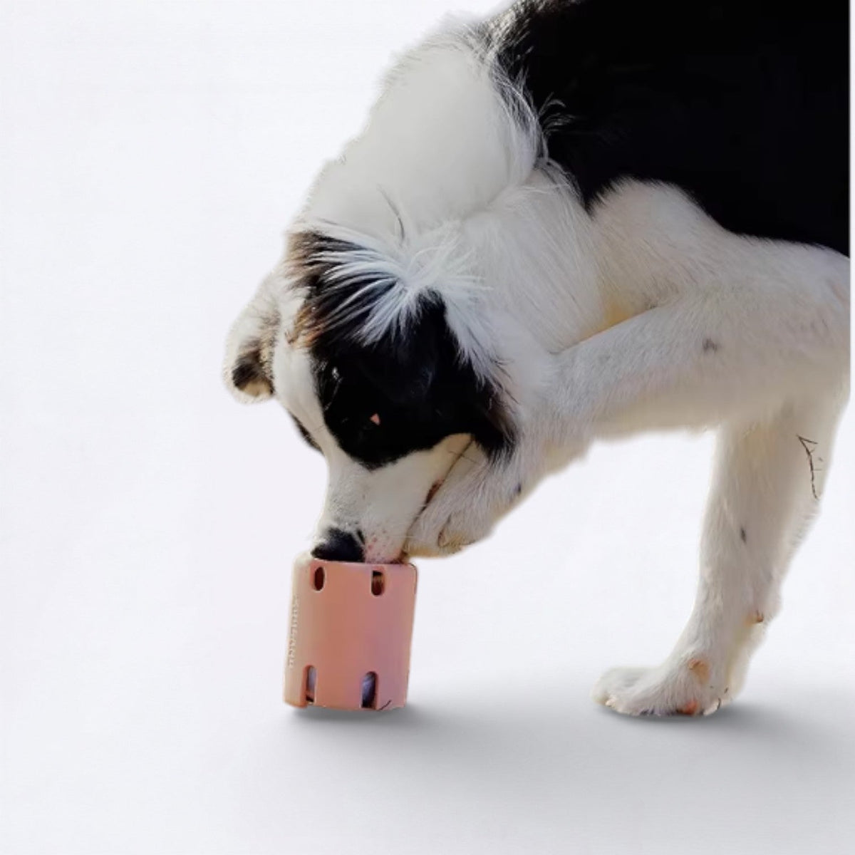 Leaky-Treat-Dispenser-Dog-Toy.jpg