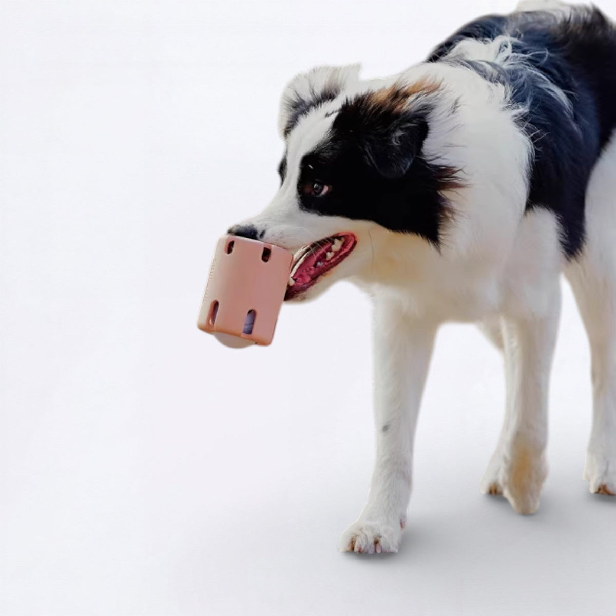 Leaky-Treat-Dispenser-Dog-Toy.jpg