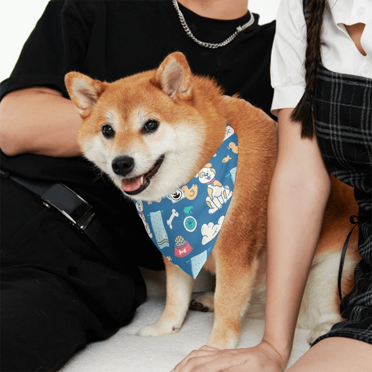 Lena - dog with bandana