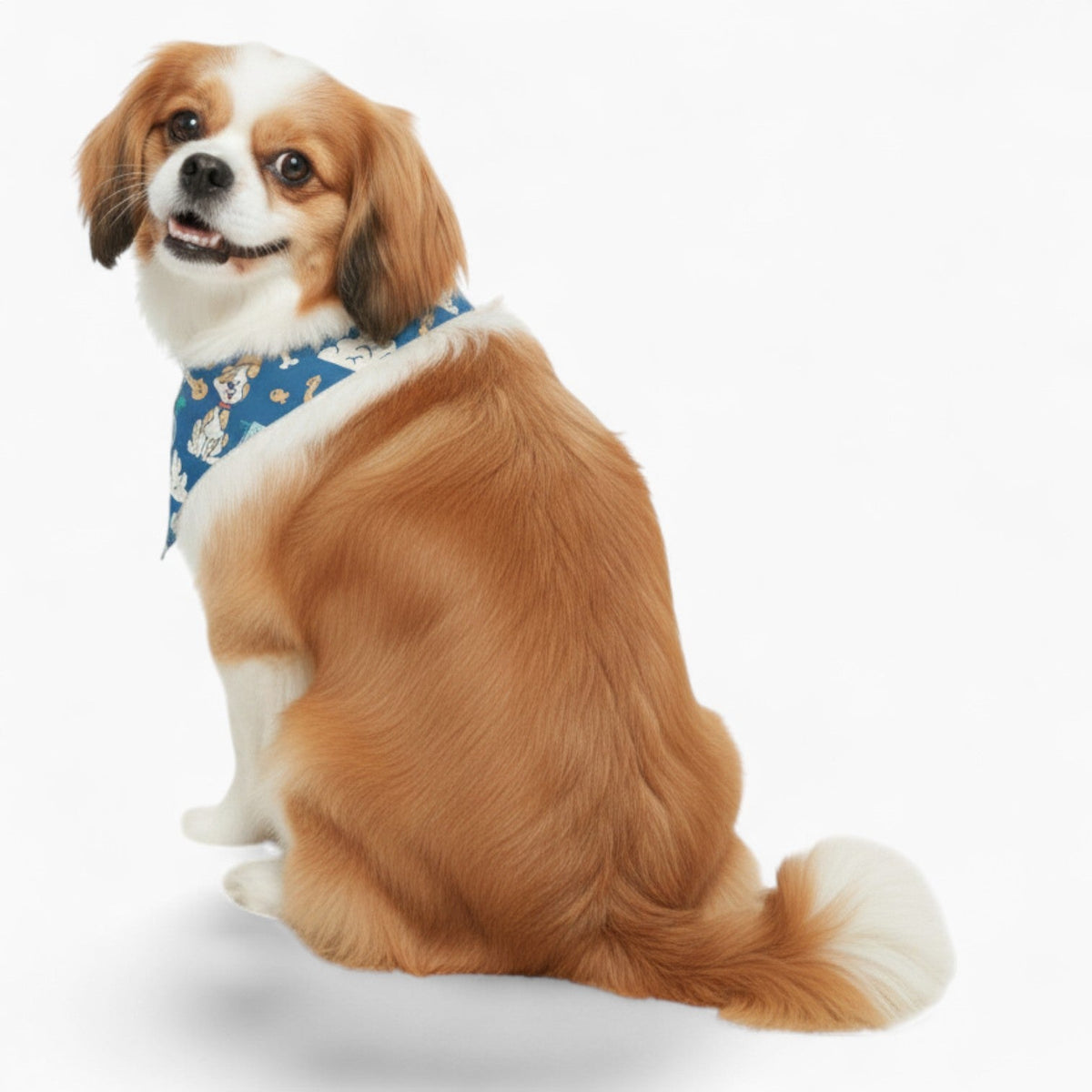 Lena – Dog Bandanas