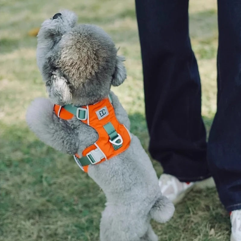 Lightweight-No-Pull-Dog-Harness-Leash-Set.jpg