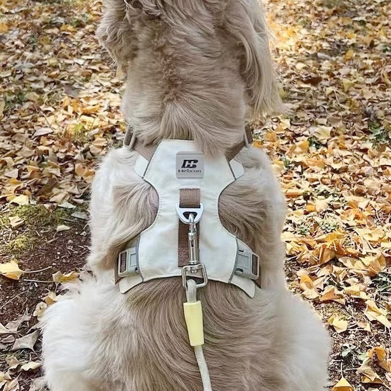 Lightweight-No-Pull-Dog-Harness-Leash-Set.jpg