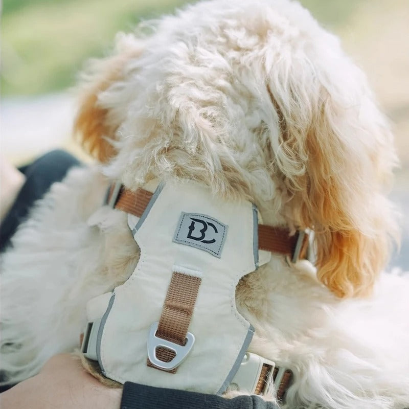 Lightweight-No-Pull-Dog-Harness-Leash-Set.jpg