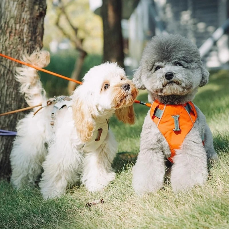 Lightweight-No-Pull-Dog-Harness-Leash-Set.jpg