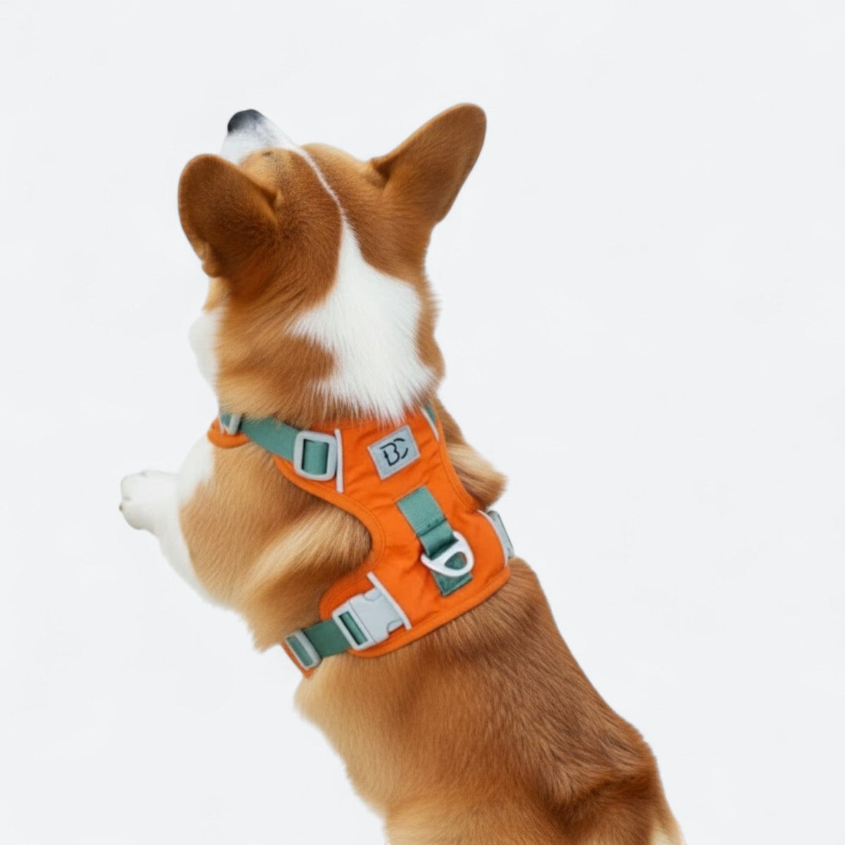 Lightweight-No-Pull-Dog-Harness-Leash-Set.jpg