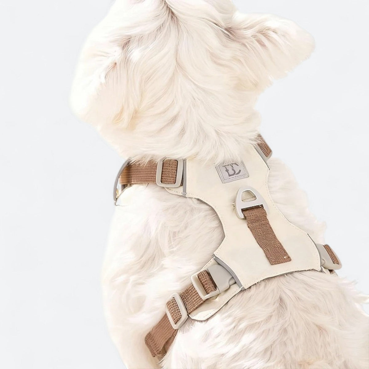 Lightweight no-pull dog harness and leash set