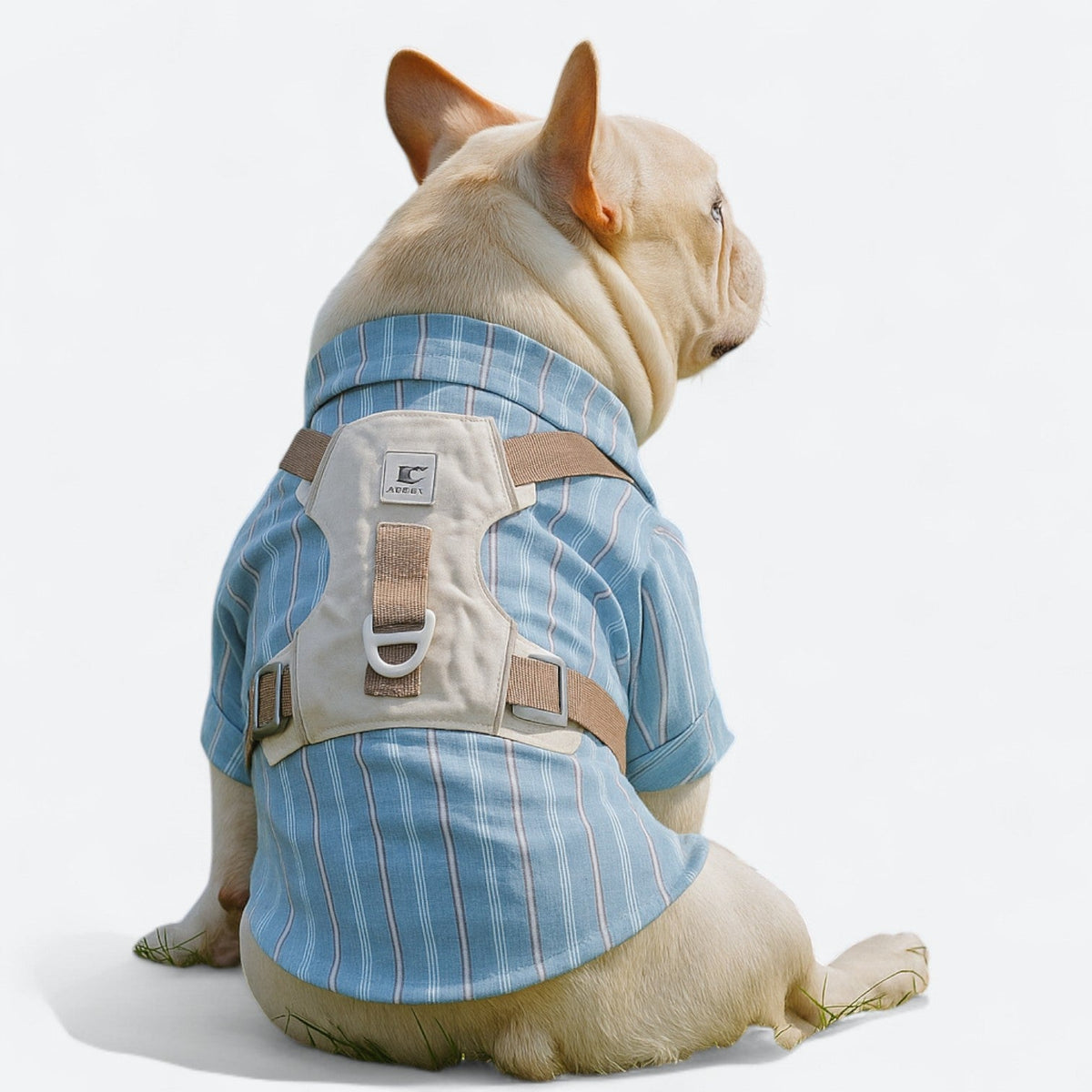 Lightweight-No-Pull-Dog-Harness-Leash-Set.jpg